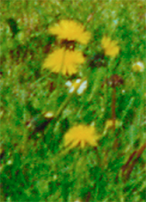 87 site aplati 1